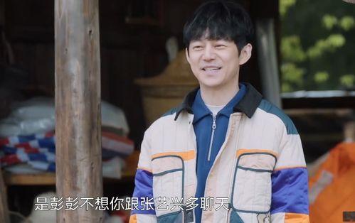 娱乐吃瓜蜀黍张艺兴小说,娱乐圈的甜蜜瓜田