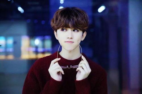 娱乐吃瓜君刘宇宁,娱乐吃瓜界的风云人物