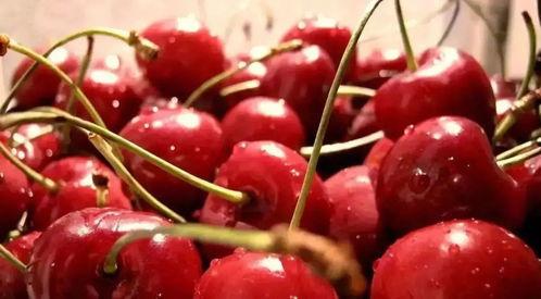 娱乐吃瓜酱樱桃