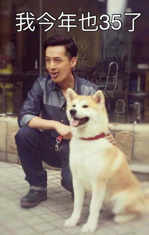 娱乐吃瓜君胡歌,娱乐圈的吃瓜传奇，揭秘明星背后的故事