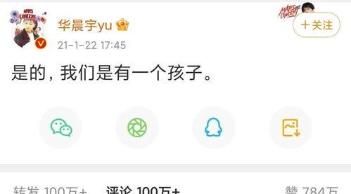 盘点年底吃的娱乐圈大瓜,盘点年度最热八卦风云录